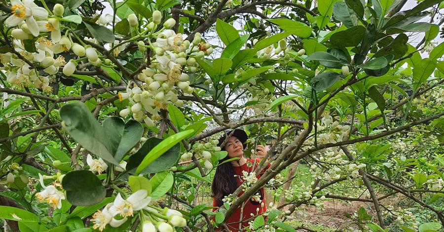 Ảnh minh họa ITN.