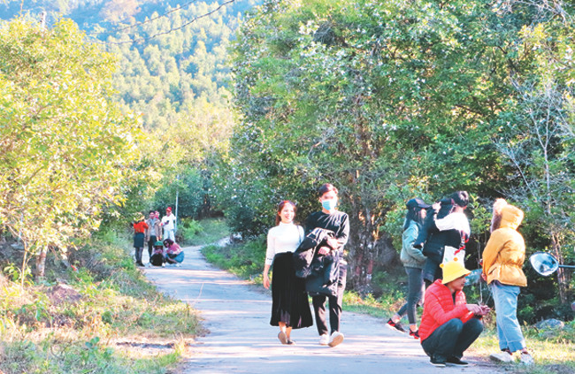 Cứ vào tháng 12 hàng năm, những cánh rừng hoa sở ở Bình Liêu lại khoác lên mình một màu trắng tinh khôi, mộc mạc khiến du khách gần xa ngỡ ngàng trước vẻ đẹp thiên nhiên nơi đây.