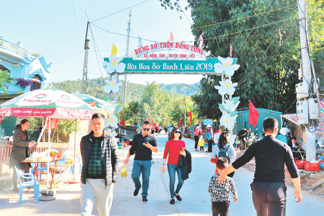 Lễ hội được tổ chức tại thôn Đồng Long (xã Đồng Tâm) nơi có hoa sở nở rộ nhất, đẹp nhất.