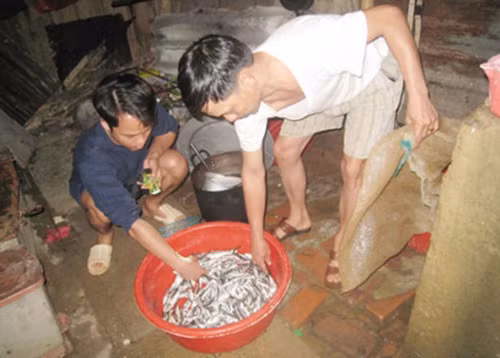 Đêm nào các thầy giáo trường THCS Tân Dân (Mai Châu) cũng đi kéo cá để cải thiện bữa ăn cho học sinh.