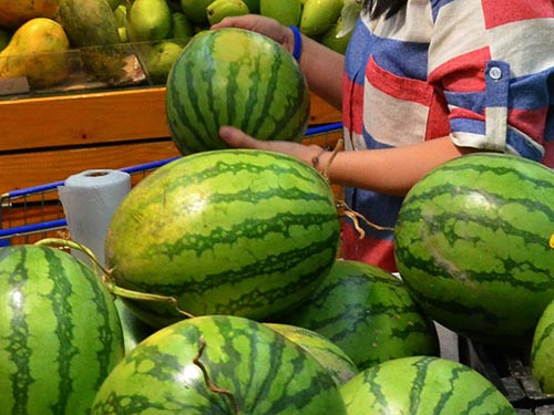 Dưa hấu được sử dụng cả vỏ và ruột, hạt dùng làm thuốc chữa trị nhiều bệnh chứng khác nhau Ảnh: TẤN THẠNH
