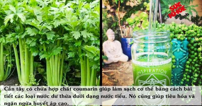 10 thực phẩm và đồ uống chữa khỏi PHÙ NỀ  10 thuc pham va do uong chua khoi PHU NE