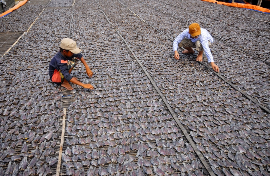 Làng nghề khô Tết Khánh An (An Giang) vào mùa. Ảnh: H. Vũ. Làng nghề khô Tết Khánh An (An Giang) vào mùa. Ảnh: H. Vũ.