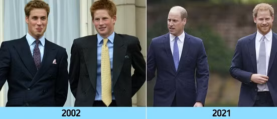 Hai anh em Hoàng tử William và Hoàng tử Harry.