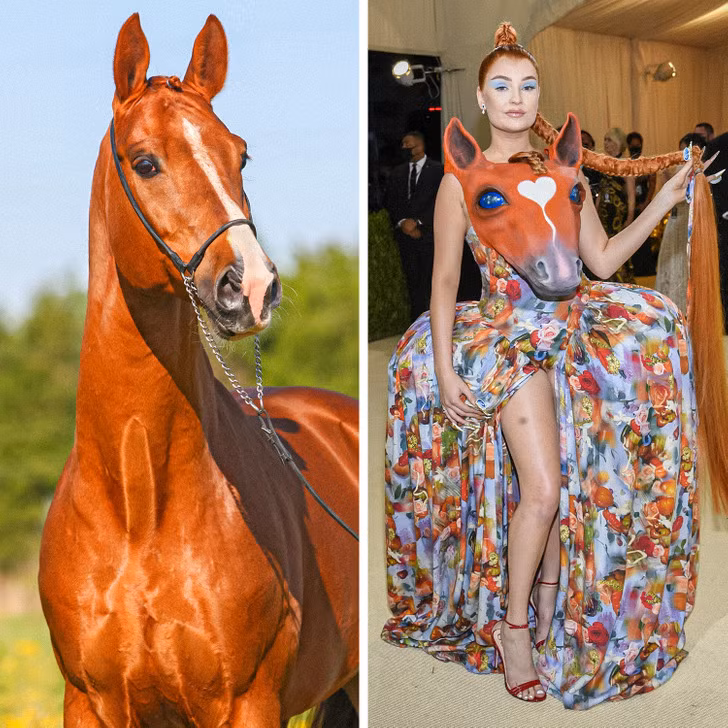 Con ngựa - Kim Petras