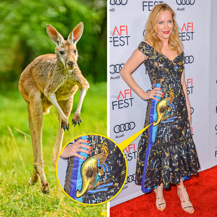 Chuột túi - Leslie Mann