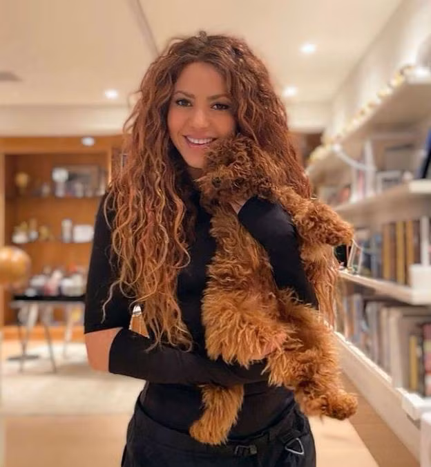 Không chỉ xinh đẹp những nữ diễn viên này còn cực kỳ thông minh ảnh 5