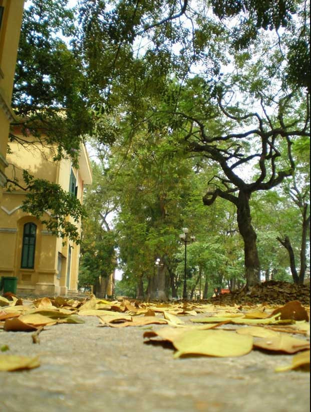 Trường THPT Chu Văn An, Hà Nội. Ảnh minh họa: ITN. Trường THPT Chu Văn An, Hà Nội. Ảnh minh họa: ITN.