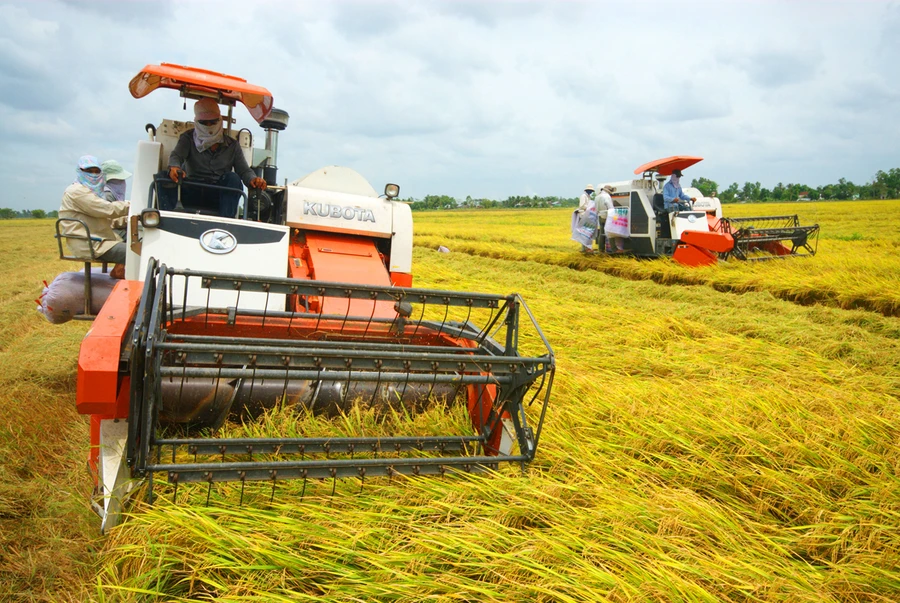 Áp dụng viễn thám trong giám sát lúa ở ĐBSCL