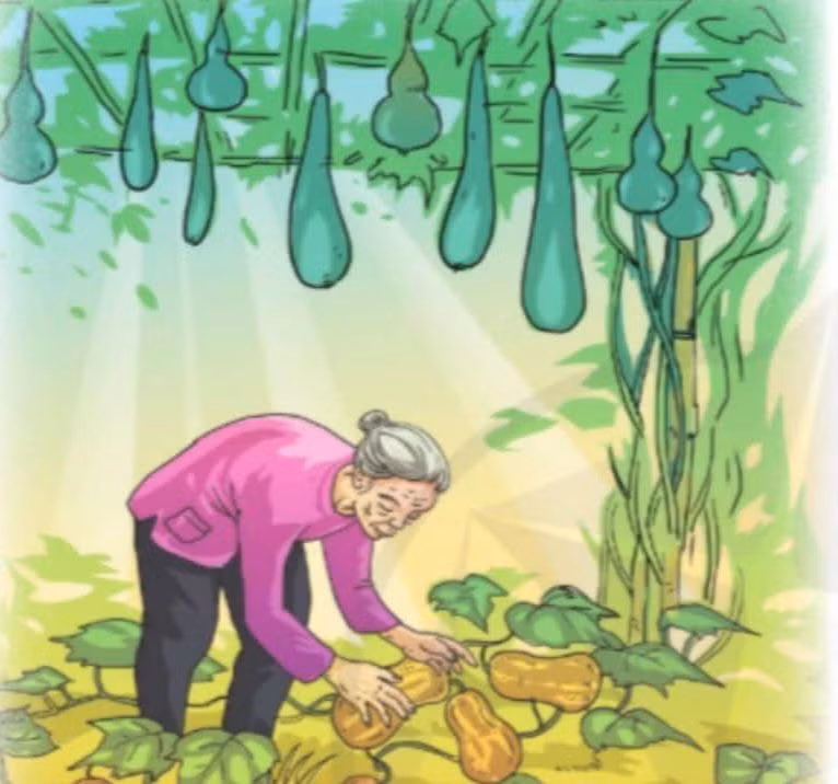 Ảnh minh họa ITN.