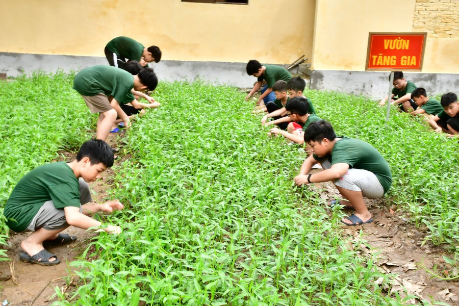 Trải nghiệm tăng gia sản xuất. Ảnh: M.C Trải nghiệm tăng gia sản xuất. Ảnh: M.C
