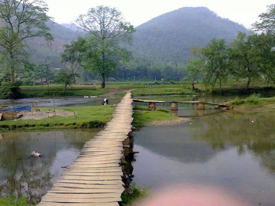 Bản Mường Thu Cúc nằm dưới những ngọn núi cao sừng sững. Bản Mường Thu Cúc nằm dưới những ngọn núi cao sừng sững.