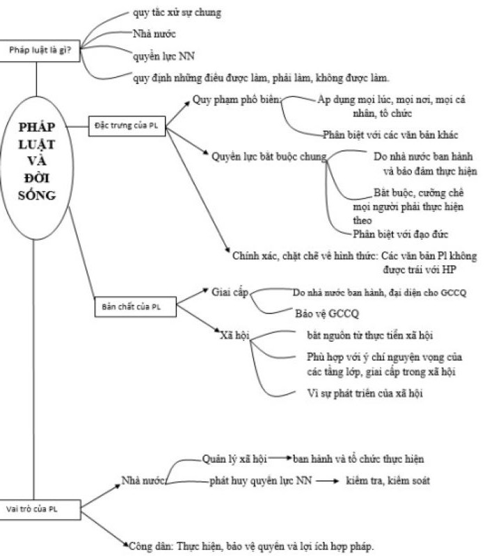 Sơ đồ tư duy bài "Pháp luật và đời sống". Sơ đồ tư duy bài "Pháp luật và đời sống".