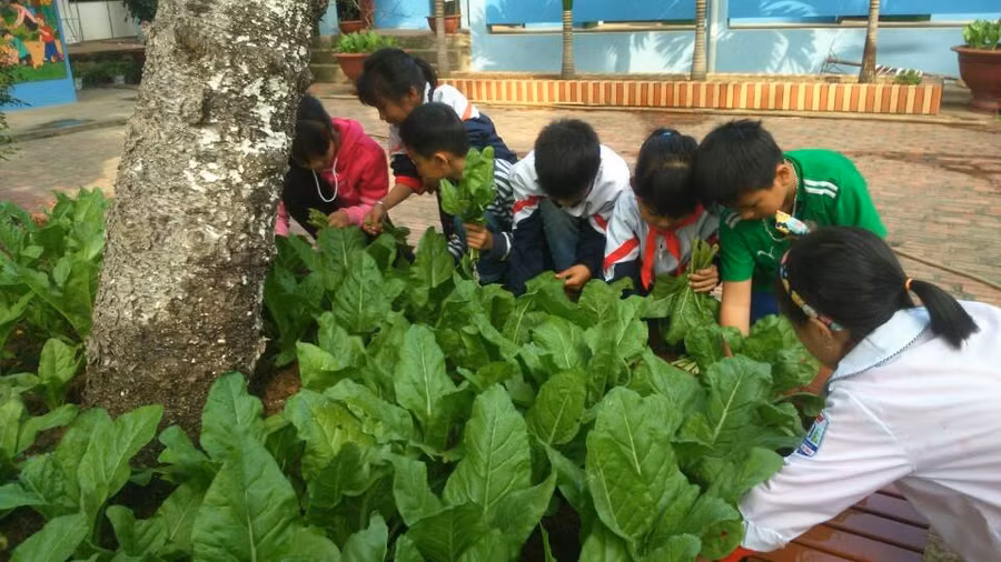 Học sinh Trường Tiểu học Lãng Sơn (Yên Dũng, Bắc Giang) chăm sóc rau xanh trong sân trường