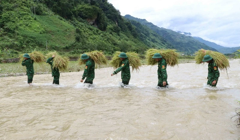 Vận chuyển lúa qua suối để tới điểm tập kết an toàn.