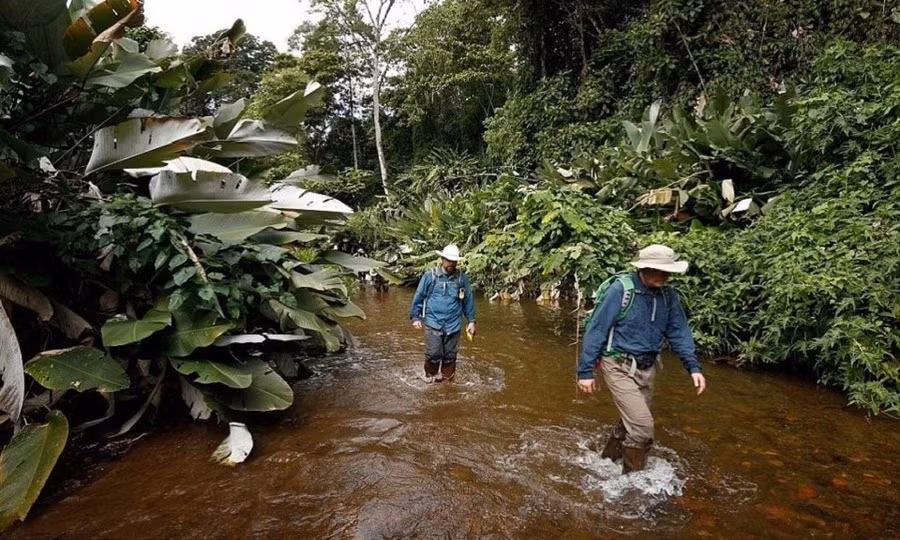 thanh pho that lac 500 nam chua ky sinh trung an mat nguoi hinh anh 2