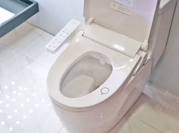 khong chi co bon cau, day la 6 noi cuc ban trong nha ve sinh me nen don hang ngay - 4