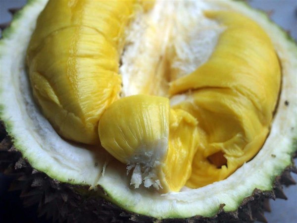 ăn sầu riêng ăn sầu riêng