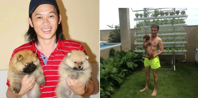 Ảnh đời thường đối lập giữa Hoài Linh – Đàm Vĩnh Hưng ảnh 3 5