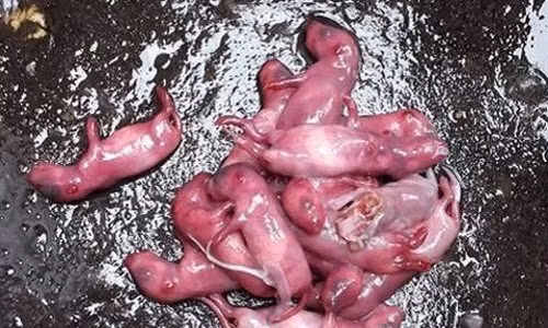 Điểm danh món ăn kinh dị mà cầu kỳ của Trung Quốc ảnh 2