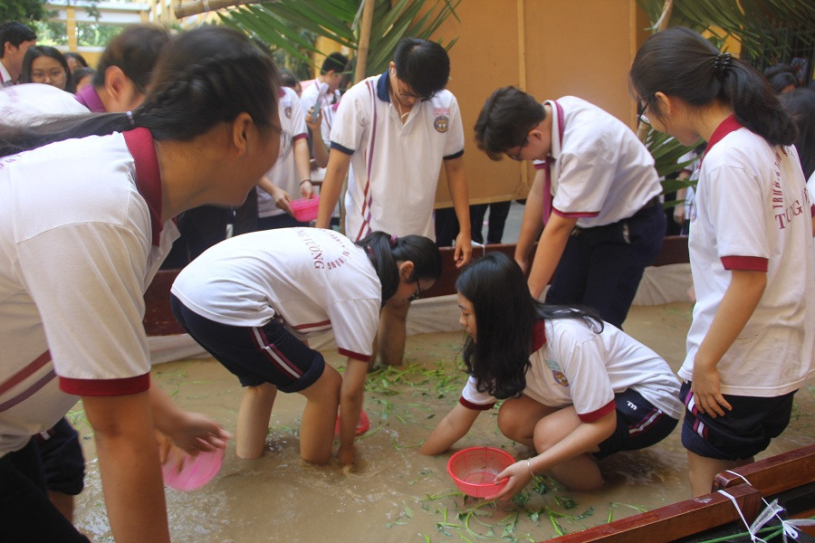 Thú vị với trò chơi bắt cá