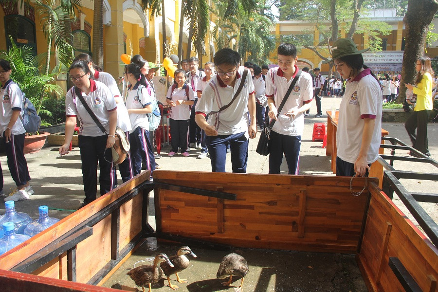 Cùng nhau chơi trò ném vòng cổ vịt