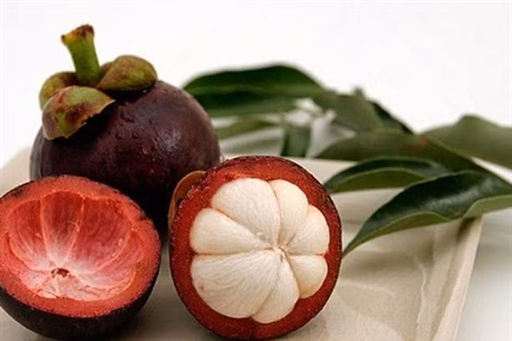 Biết điều này chắc chắn măng cụt trở thành loại quả gia đình bạn ăn nhiều nhất