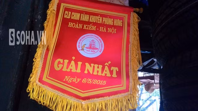 Chim biến đổi gen rinh nhiều giải Nhất về cho chủ nhân