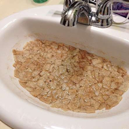 Đổ đầy bánh quy vào bồn rửa mặt. 15-4404-1415480508.jpg