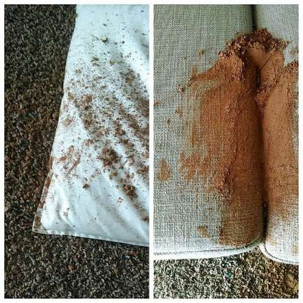 Chúng rắc bột cacao ở mọi nơi, mọi vật. 3-5063-1415480507.jpg