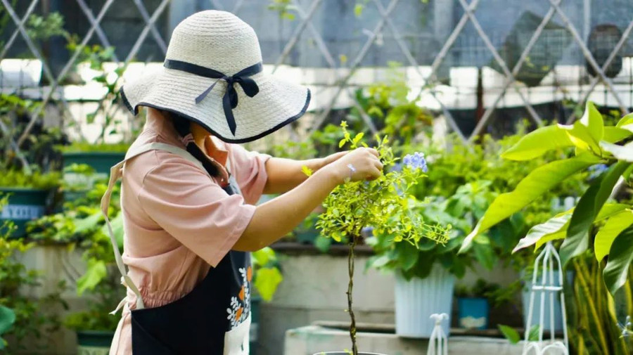 Ảnh minh họa ITN. Ảnh minh họa ITN.