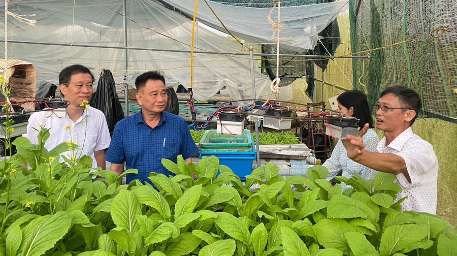 Khu vực thực nghiệm nông nghiệp tại Trường ĐH Kiên Giang. Ảnh: NTCC Khu vực thực nghiệm nông nghiệp tại Trường ĐH Kiên Giang. Ảnh: NTCC