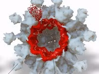 Chữa u xơ thần kinh thế nào?