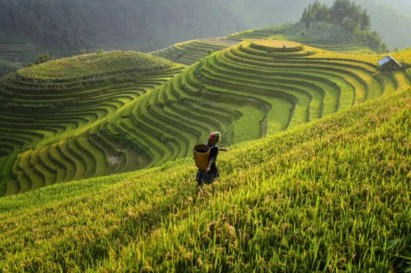 Tác động của các chuyến đi vẫn là mối quan tâm hàng đầu của du khách. Ảnh: Hữu Long.