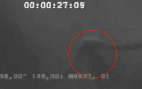 Con vật có hình hài giống người đang nổi trên mặt nước.