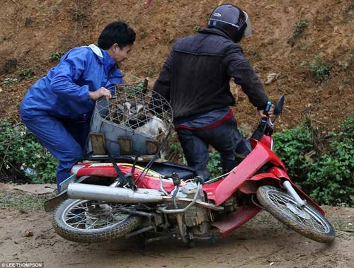 Báo Tây choáng với hình ảnh giao thông của người Việt ảnh 9 Báo Tây choáng với hình ảnh giao thông của người Việt - 9