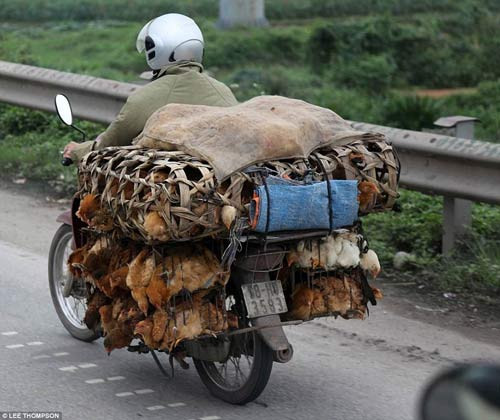 Báo Tây choáng với hình ảnh giao thông của người Việt ảnh 2 Báo Tây choáng với hình ảnh giao thông của người Việt - 2