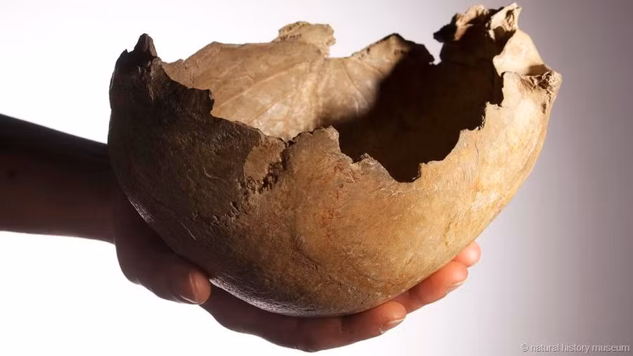 Skull caps indicate ancient rituals