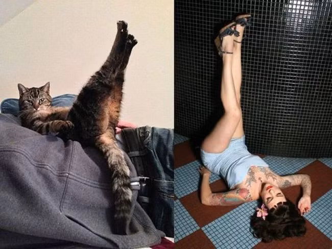 Khởi động ngày mới với điệu cười té ghế