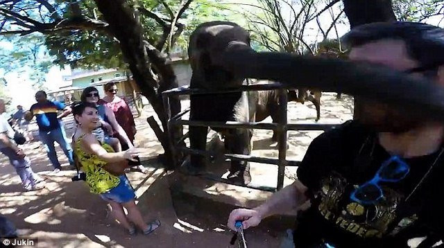 Video: Voi tát vào mặt du khách chụp video: voi tat vao mat du khach chup