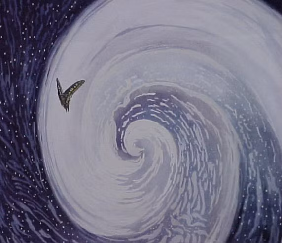  Cánh bướm mong manh cũng góp phần làm thay đổi cả thời tiết 