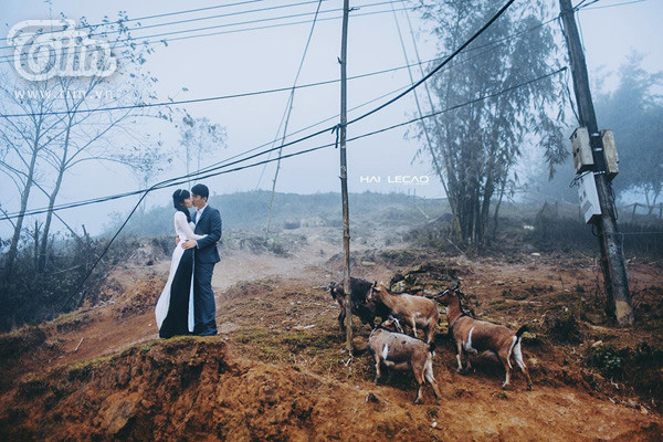 Bộ ảnh cưới đẹp mơ màng giữa núi rừng Sapa