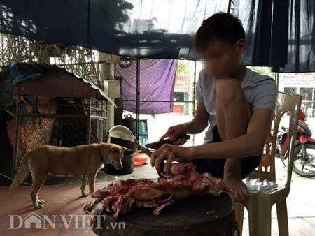 “Hành quyết” mèo trong lò mổ ở Thái Bình: Cơ quan chức năng nói gì?