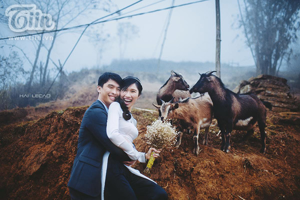 Bộ ảnh cưới đẹp mơ màng giữa núi rừng Sapa