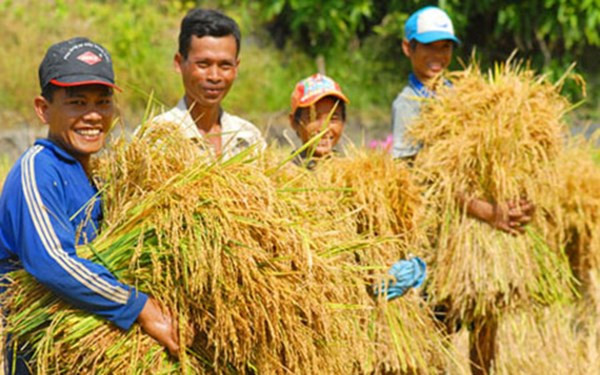 Ngắm "nhan sắc" 10 mặt hàng nông sản xuất khẩu tỷ USD ảnh 4