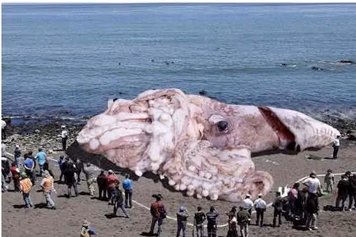 Photoshop từ không thành có quá sức tưởng tượng!