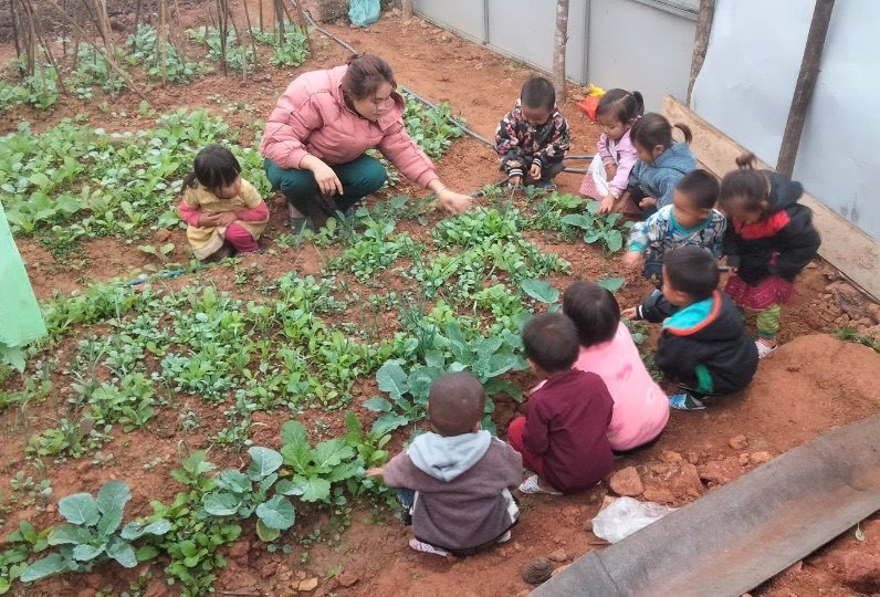 Cô trò Trường Mầm non Pú Nhi tham gia trải nghiệm “Vườn rau của bé”. Cô trò Trường Mầm non Pú Nhi tham gia trải nghiệm “Vườn rau của bé”.
