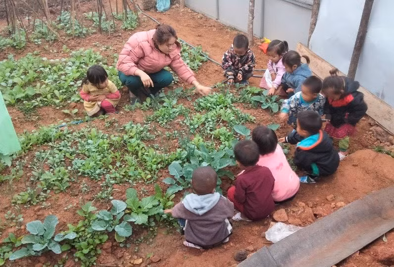 Cô trò Trường Mầm non Pú Nhi tham gia trải nghiệm “Vườn rau của bé”. Cô trò Trường Mầm non Pú Nhi tham gia trải nghiệm “Vườn rau của bé”.