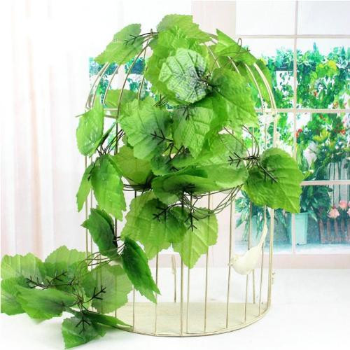 Khong can thuoc an than, 6 loai cay nay se giup ban ngu ngon suot dem