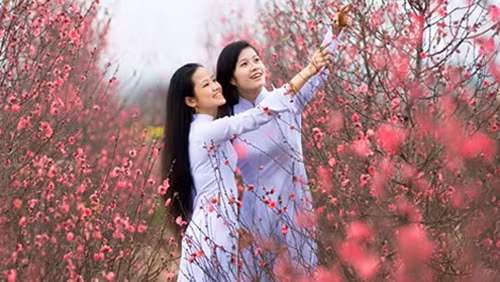 du_bao_thoi_tiet_tet_nguyen_dan_2016